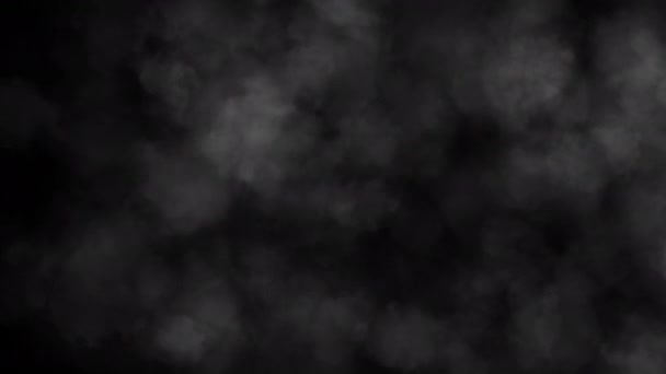 孤立した黒い背景に壮大な煙のパフ。大気煙4kフォグ効果。Vfx エレメント。スローモーションでヘイズ背景。抽象的な煙雲。シームレスループ3Dアニメーション — ストック動画