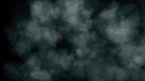 무성한, 두꺼운 흰색 연기의 애니메이션. 슬로우 모션의 안개 효과. 추상 연기 구름입니다. 원활한 루프 3D 렌더링 — 비디오