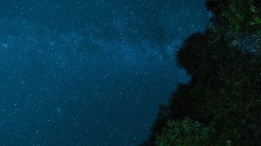 Güzel uzun pozlu gece fotoğrafçılığı. Gece gökyüzünde Samanyolu. Yıldızlar ve uzay. Ön planda ağaçlar