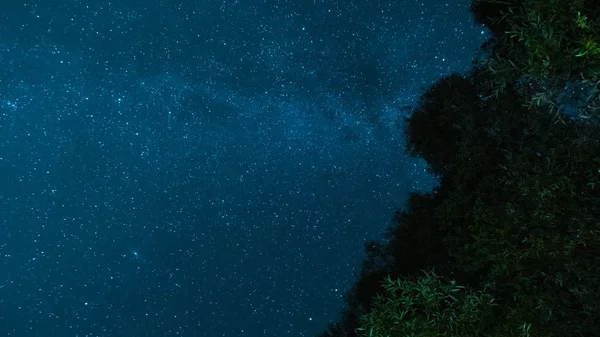 Preciosa fotografía nocturna de larga exposición. Vía Láctea en el cielo nocturno. Estrellas y espacio. Árboles en primer plano — Foto de Stock
