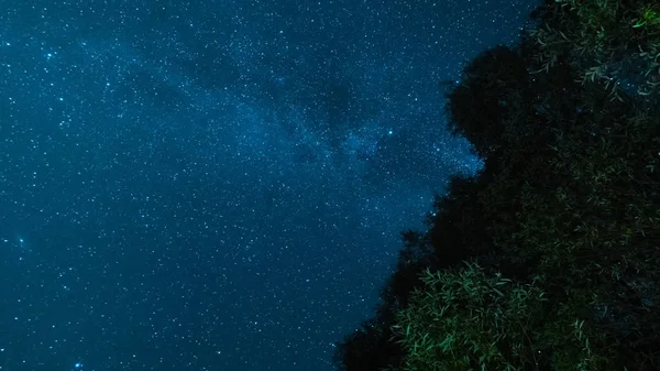 Lovely long exposure night photography. Milky Way in the night sky. Stars and space. Trees in the foreground