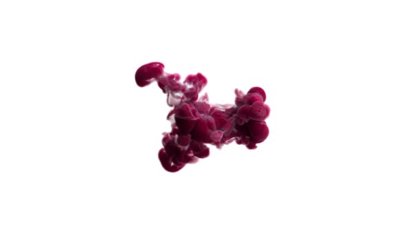 분홍빛 폭발 - 다채 로운 연기 분말 폭발 액체 잉크 입자의 느린 움직임. 3D 렌더링 — 비디오