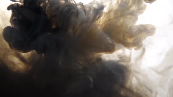 L'encre noire et blanche se mélange dans l'eau sur un fond blanc isolé au ralenti. Nuage d'encre tourbillonnant sous l'eau. Explosion de fumée abstraite — Video