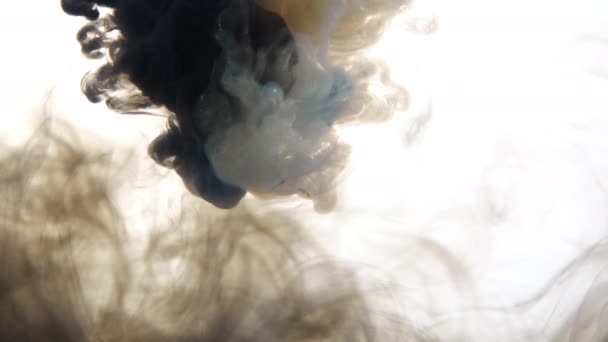 Svart och vitt bläck blanda i vatten på en vit isolerad bakgrund i slow motion. Inky moln virvlande flyter under vattnet. Abstrakt rökexplosion — Stockvideo