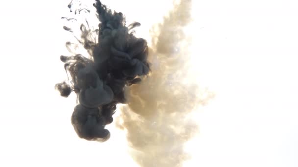 Μαύρο και άσπρο μελάνι αναμειγνύονται στο νερό σε ένα λευκό απομονωμένο φόντο σε αργή κίνηση. Μελανιασμένο σύννεφο στροβιλίζεται κάτω από το νερό. Αφηρημένη έκρηξη καπνού — Αρχείο Βίντεο