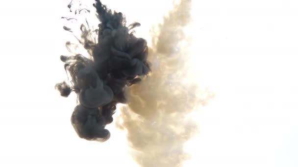 La tinta blanca y negra se mezcla en agua sobre un fondo blanco aislado en cámara lenta. Nube de tinta girando fluyendo bajo el agua. Explosión de humo abstracta — Vídeos de Stock