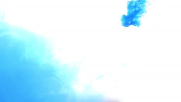 Blauwe kleur verf inkt druppels in water slow motion video. Stinkende wolk wervelend onder water. Abstracte rookexplosie op witte geïsoleerde achtergrond — Stockvideo