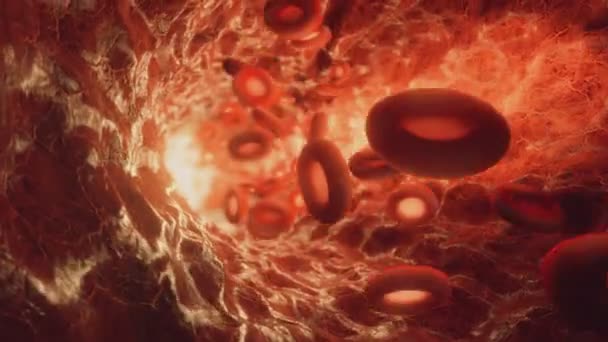 Красные кровяные тельца путешествуют через кровеносные сосуды. Бесшовный трехмерный рендер — стоковое видео