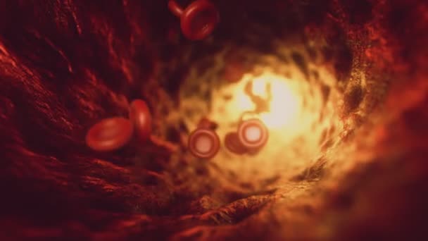 Atardamardaki kırmızı kan hücreleri kan dolaşımına karışıyor. Bir damarda dolaşan hemoglobin hücrelerinin 3 boyutlu kusursuz döngüsü. — Stok video