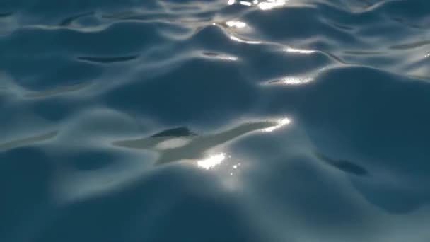 Ярко-голубая поверхность морских волн в движении. Свежая питьевая вода, красочное видео. Концепция экологических проблем, отсутствие питьевой воды, изменение климата, глобальное потепление. Бесшовный трехмерный рендер — стоковое видео