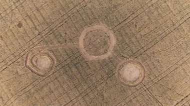 Buğday tarlasının ortasında gizemli mistik geometrik işaretler. UFO sahada ayak izleri bırakmış. Hava 4k görüntüsü