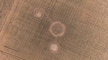 Buğday tarlasının ortasında gizemli mistik geometrik işaretler. UFO sahada ayak izleri bırakmış. Hava 4k görüntüsü