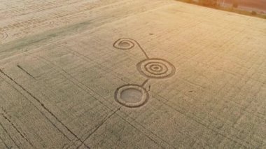 Buğday tarlasının ortasında gizemli mistik geometrik işaretler. UFO sahada ayak izleri bırakmış. Hava 4k görüntüsü