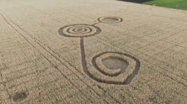 Buğday tarlasının ortasında gizemli mistik geometrik işaretler. UFO sahada ayak izleri bırakmış. Hava 4k görüntüsü