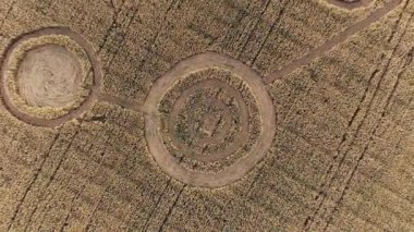 Buğday tarlasının ortasında gizemli mistik geometrik işaretler. UFO sahada ayak izleri bırakmış. Hava 4k görüntüsü