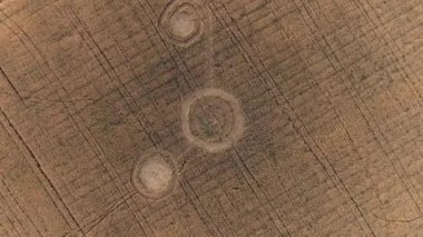 Buğday tarlasının ortasında gizemli mistik geometrik işaretler. UFO sahada ayak izleri bırakmış. Hava 4k görüntüsü