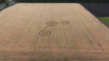 Buğday tarlasının ortasında gizemli mistik geometrik işaretler. UFO sahada ayak izleri bırakmış. Hava 4k görüntüsü