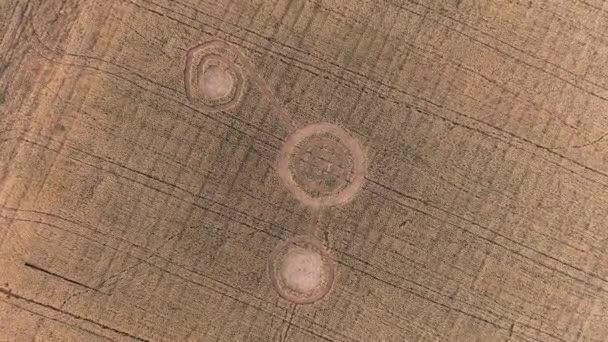 Таємничі містичні геометричні знаки посеред пшеничного поля. НЛО залишило сліди на полі. Повітряні 4k кадри — стокове відео