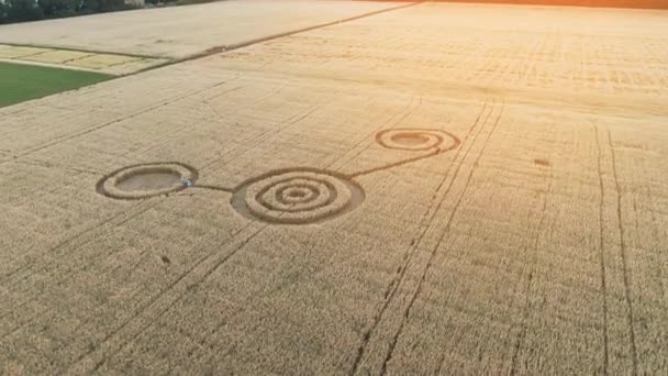 Mystiska geometriska tecken mitt på ett vetefält. UFO lämnade fotspår på fältet. Flygbilder på 4k — Stockvideo