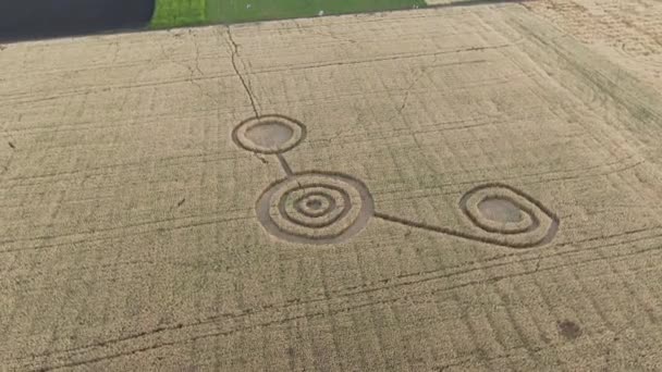 Tajemnicze mistyczne znaki geometryczne na środku pola pszenicy. UFO zostawiło ślady stóp w terenie. Materiał z powietrza 4k — Wideo stockowe