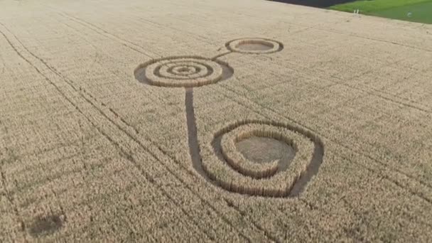 Mystiska geometriska tecken mitt på ett vetefält. UFO lämnade fotspår på fältet. Flygbilder på 4k — Stockvideo