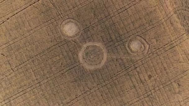 Misteriosi segni geometrici mistici nel mezzo di un campo di grano. Gli UFO hanno lasciato impronte sul campo. Filmati aerei 4k — Video Stock