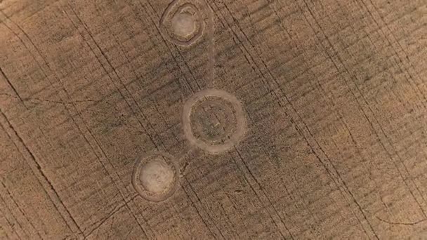 Sinais geométricos místicos misteriosos no meio de um campo de trigo. O OVNI deixou pegadas no campo. Imagens aéreas 4k — Vídeo de Stock