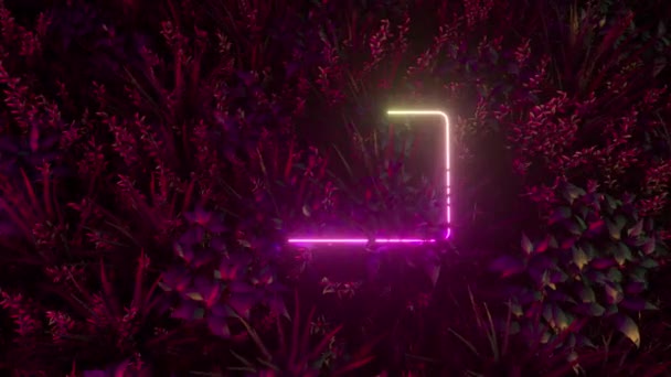 Ein Helles Ultraviolettes Neongestell Erscheint Vor Einem Hintergrund Tropischer Blatter Modernes Farbspektrum Neon Hintergrund 3d Animation In 4k Stock Footage Videos C Flashmovie 394727566 Depositphotos