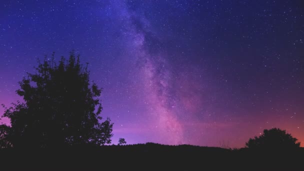 Gece yıldızlı gökyüzü Samanyolu tarafından aydınlatıldı ve yıldızlar bir dağ gölü ve ağaç silueti üzerinde. — Stok video