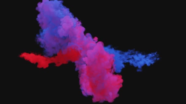 Mistura de fumaça multicolorida colorida e pó em câmera lenta em um fundo preto com um canal alfa . — Vídeo de Stock