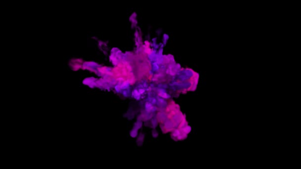 Explosion von farbenfrohem lila Rauch und Pulver in Zeitlupe vor schwarzem Hintergrund — Stockvideo