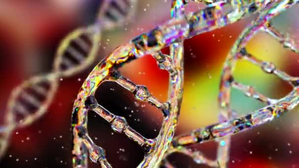 Абстрактная ДНК на тёмном фоне. Голограмма ДНК светится и мерцает радужными цветами. Наука и медицина. Бесшовный трехмерный рендер — стоковое видео
