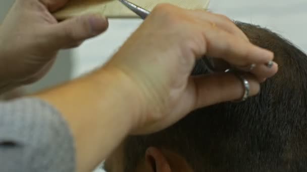 Barber making haircut of man in barbershop. Hairdresser at work. Beauty salon. — Stock Video