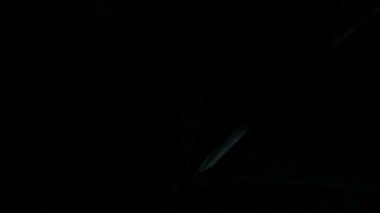 Kenevir bush kapalı büyüyen yaprakları