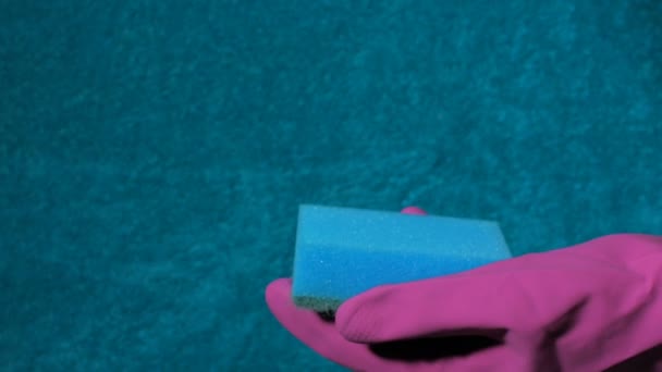 Svamp i hanhånd i lilla gummihandske. Hvidt skum stænk ud af spraydåsen . – Stock-video