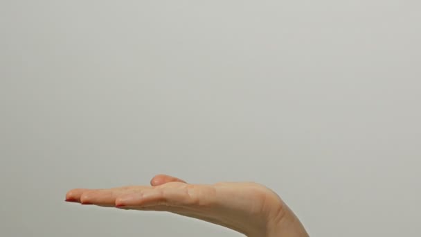 Närbild av 1 kvinnlig vuxen utsträckt kaukasiska hand på grå bakgrund hålla ingenting. Unga kvinnans hand i gest som om att visa något virtuellt och osynliga. — Stockvideo