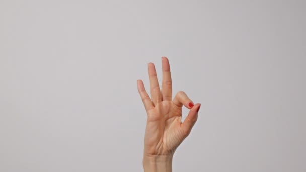 Kadın el hareketi tamam sembolü. İşaret, işaret, sembol. Konuşma konsepti olmayan iletişim. — Stok video