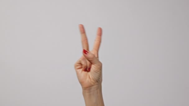 Женщина поднимает два пальца вверх и показывает символ мира или победы или букву V. Женщина одной рукой держит два пальца вверх на языке жестов на светлом фоне. ногти со свежим красным глянцевым маникюром. — стоковое видео