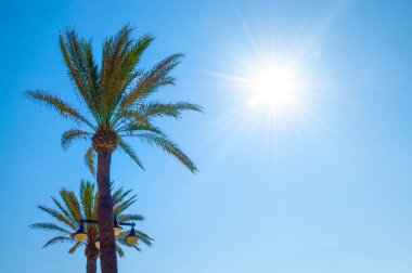 Malvarrosa beach, Valencia, İspanya