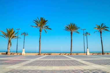 Malvarrosa beach, Valencia, İspanya