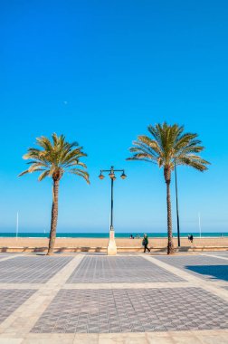 Malvarrosa beach, Valencia, İspanya