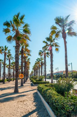 Malvarrosa beach, Valencia, İspanya
