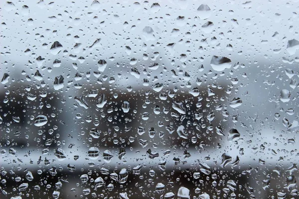 yağmur damlaları yağmur pencere bulanıklık doğa ayrıntı Güz