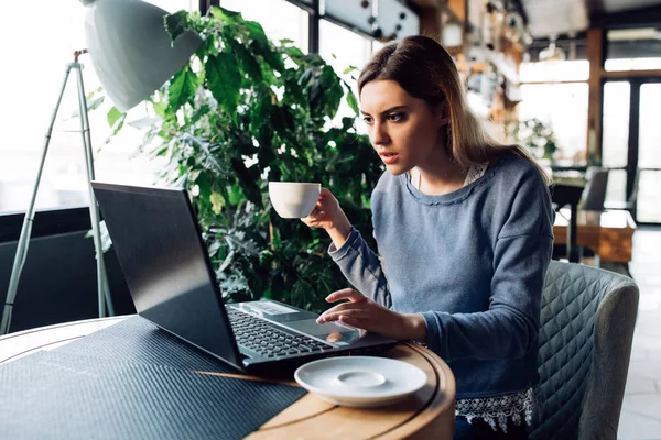 Chica concentrada trabajando en el ordenador portátil mientras está sentado en la cafetería con c — Foto de Stock