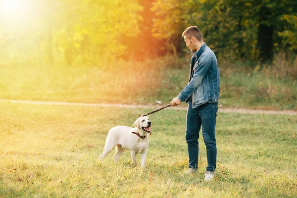 Man Have Fun His Dog Labrador Park Sunset — Stock Photo, Image