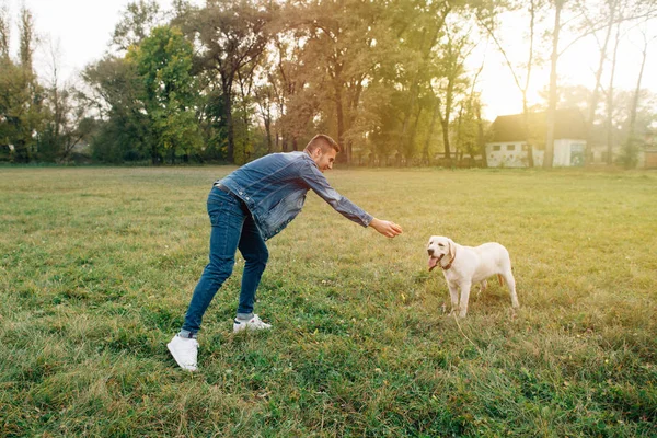 Mann Und Hund Labrador Haben Spaß Beim Ballspielen Bei Sonnenuntergang — Stockfoto