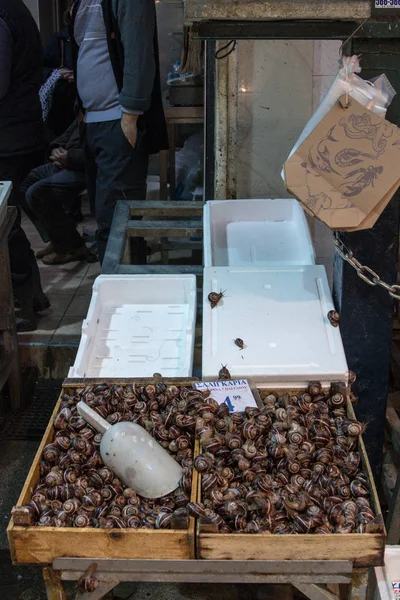 Thessaloniki Řecko Prosince 2015 Alive Hlemýždi Prodává Jako Potraviny Trhu — Stock fotografie