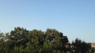 Saint Michael Katedrali, onun ikonik Kulesi ile Saborna Crkva olarak da bilinir. Belgrad şehir merkezi ana yerlerinden biridir