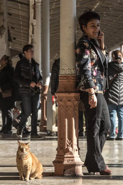 Κωνσταντινούπολη Τουρκία Δεκεμβρίου 2015 Αδέσποτη Γάτα Τζίντζερ Συνεδρίαση Στην Πλατφόρμα — Φωτογραφία Αρχείου