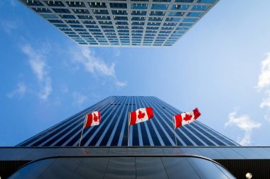 Three Canadian flags in front of a business building in Ottawa, Ontario, Canada. Ottawa is the capital city of Canada, and one of the main economic, political and business hubs of North America clipart